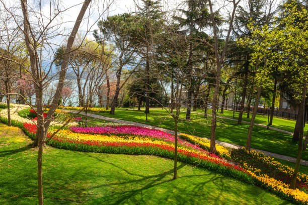 Beautiful spring garden, famous turkish park Emirgan Korusu in Istanbul during tulip festival, Turkey. Outdoor travel background, nature landscape